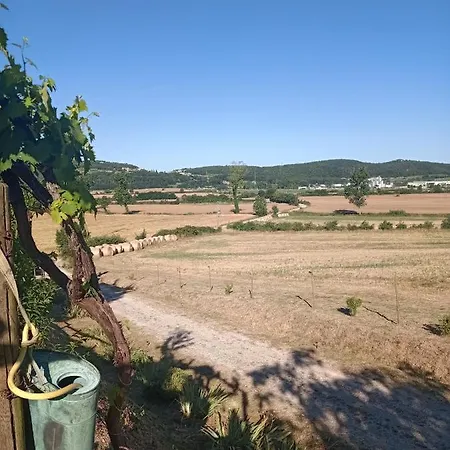 Farm stay Agriturismo Podere La Selva