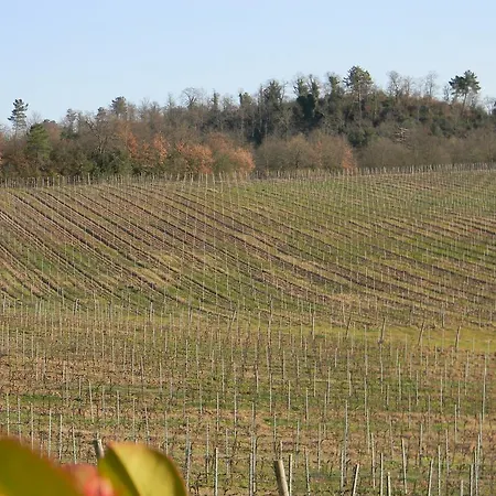 Agriturismo Podere La Selva Serre Di Rapolano