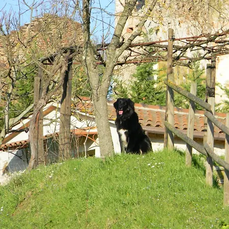 Farm stay Agriturismo Podere La Selva Serre Di Rapolano