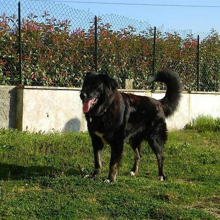 Agriturismo Podere La Selva Farm stay *