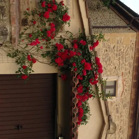 Agriturismo Podere La Selva Farm stay *