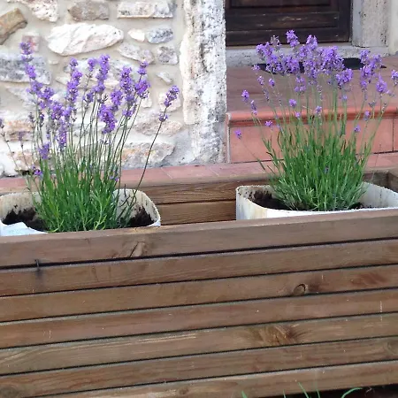Farm stay Agriturismo Podere La Selva